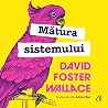 Mătura sistemului