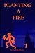 Planting A Fire by Benjamin Chang