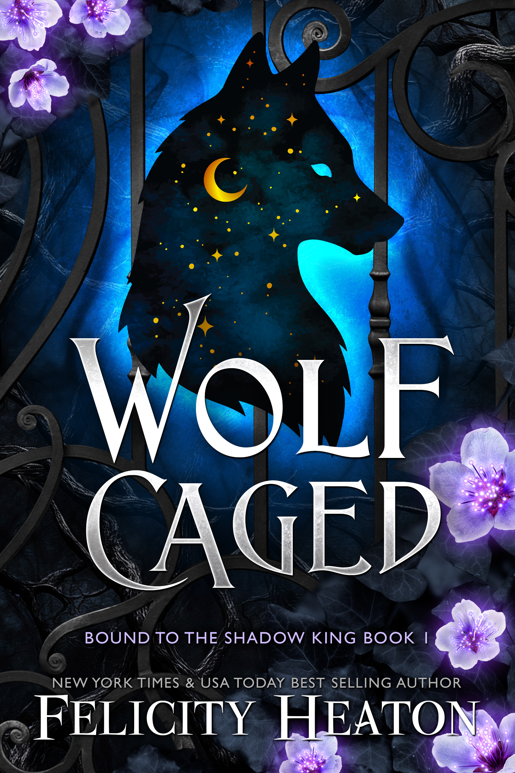 Wolf Caged (Bound to the Shadow King Book 1)