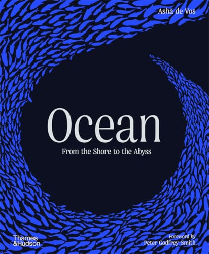 Ocean: From the Shore to the Abyss (Hardcover)