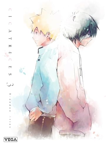 Cicatrices - Tome 3 (Paperback)
