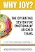 Why Joy?: The Operating System for Emotionally Aligned Teams
