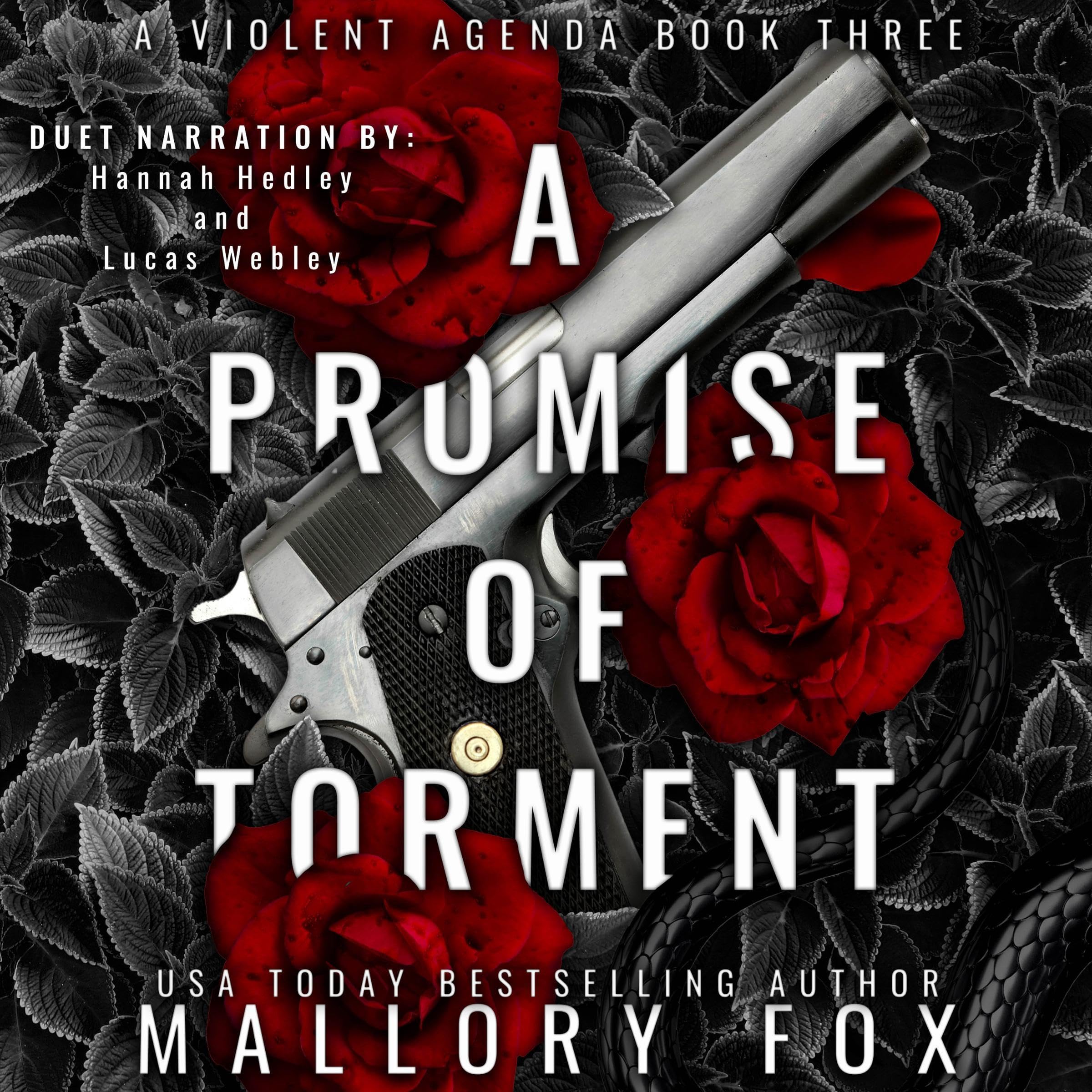 A Promise of Torment: A Dark RH Serial Killer Bully Romance (A Violent Agenda, Book 3)