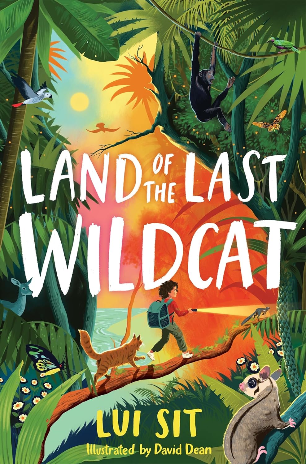 Land of the Last Wildcat (Wildcat #1)
