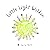 Little Light Within