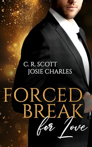 Forced Break for Love (Charming Chicago 1) (German Edition)