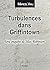 Turbulences dans Griffintow...
