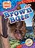 Brown Bats (The Ultimate An...