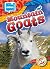 Mountain Goats (The Ultimat...