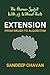 Extension: From Brush to Al...