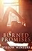 Burned Promises