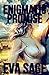 Enigmatic Promise by Eva Sage
