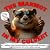 The Marmot in My Culvert