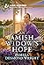 An Amish Widow's Hope by Pamela Desmond Wright