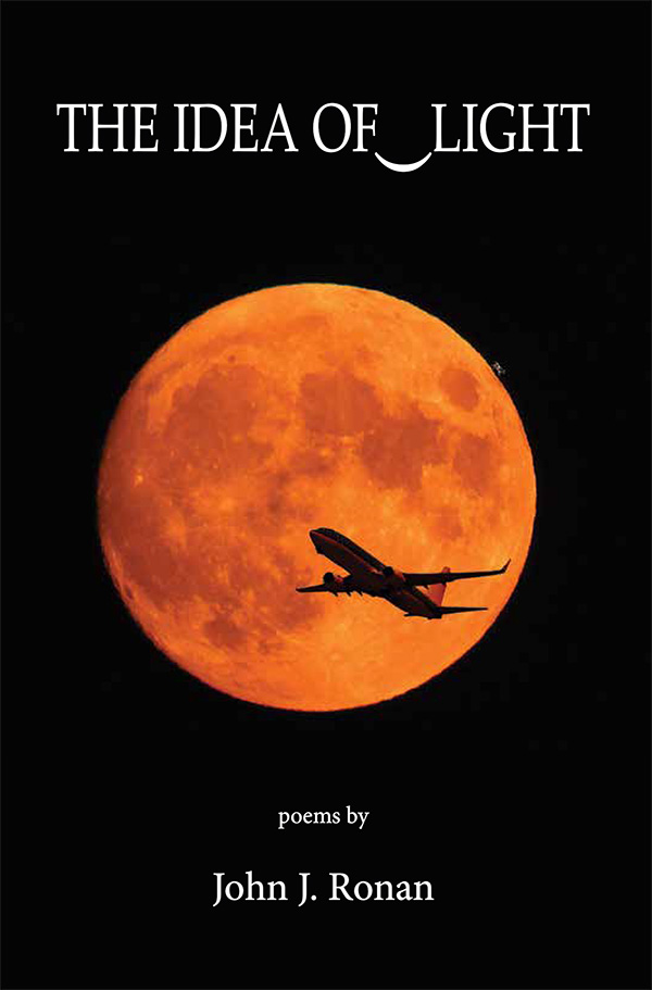 The Idea of Light (Paperback)