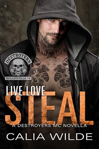 Live Love Steal (Skilletsville Destroyers MC, #2)