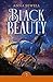 Puffin Classics Black Beauty.