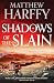 Shadows of the Slain (The Bernicia Chronicles)
