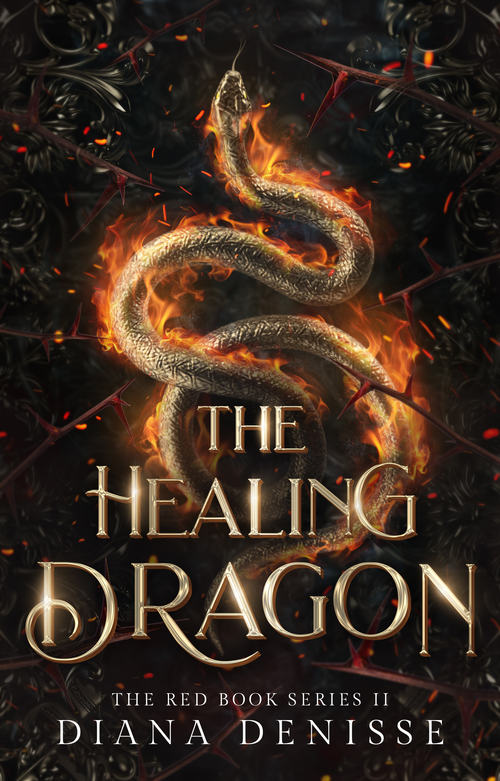 The Healing Dragon (Paperback)