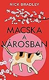 Macska a városban