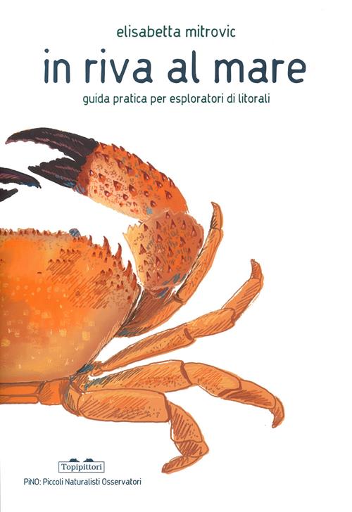In riva al mare. Guida pratica per esploratori di litorali (Paperback)