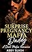 Surprise Pregnancy Mafia Daddy (Dark Mafia Silver Fox Daddies Everywhere #1)