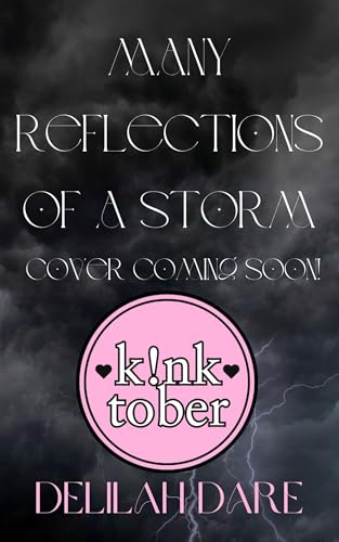 Many Reflections of a Storm (Kindle Edition)