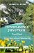 Interlaken & Jungfrau Trave...