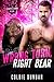Wrong Turn, Right Bear by Colbie Dunbar