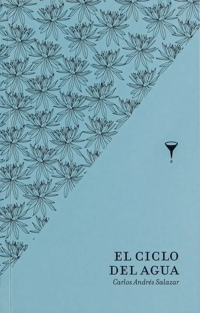 El ciclo del agua (Paperback)