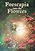 Forscapia into the Flowers