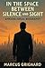 Aymann Ismail Biography - In the Space Between Silence and Sight by Marcus Grignard