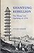 Shantung Rebellion: The Wang Lun Uprising of 1774