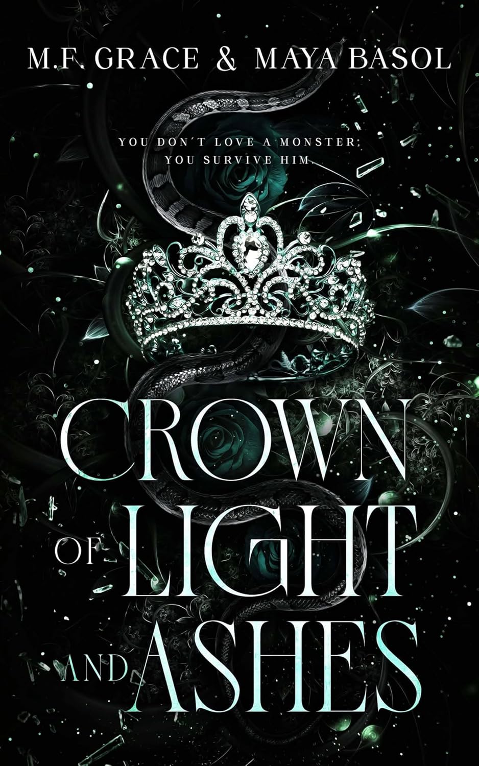 Crown of Light and Ashes (Kingdom of Shadows, #1)