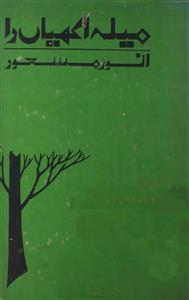 Mela Akhian Da / میلہ اکھیاں دا (Hardcover)