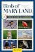 Birds of Maryland Field Gui...