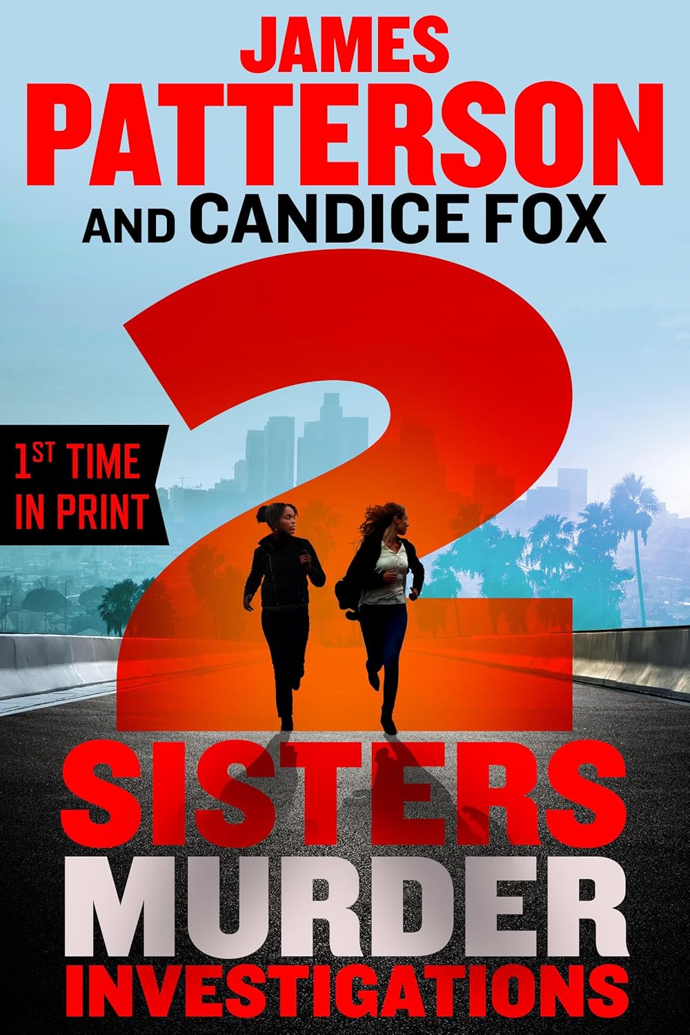 2 Sisters Murder Investigations (2 Sisters Detective Agency, #2)