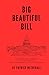 Big Beautiful Bill: Compreh...