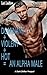 Dominant + Violent + Hot = An Alpha Male by Lori Laidlaw