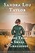 More Than a Small Challenge: Hadley Hope Series Book Two