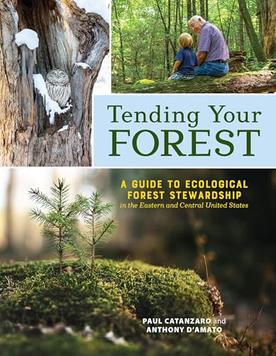 Tending Your Forest: A Guide to Ecological Forest Stewardship in the Eastern and Central United States (Paperback)
