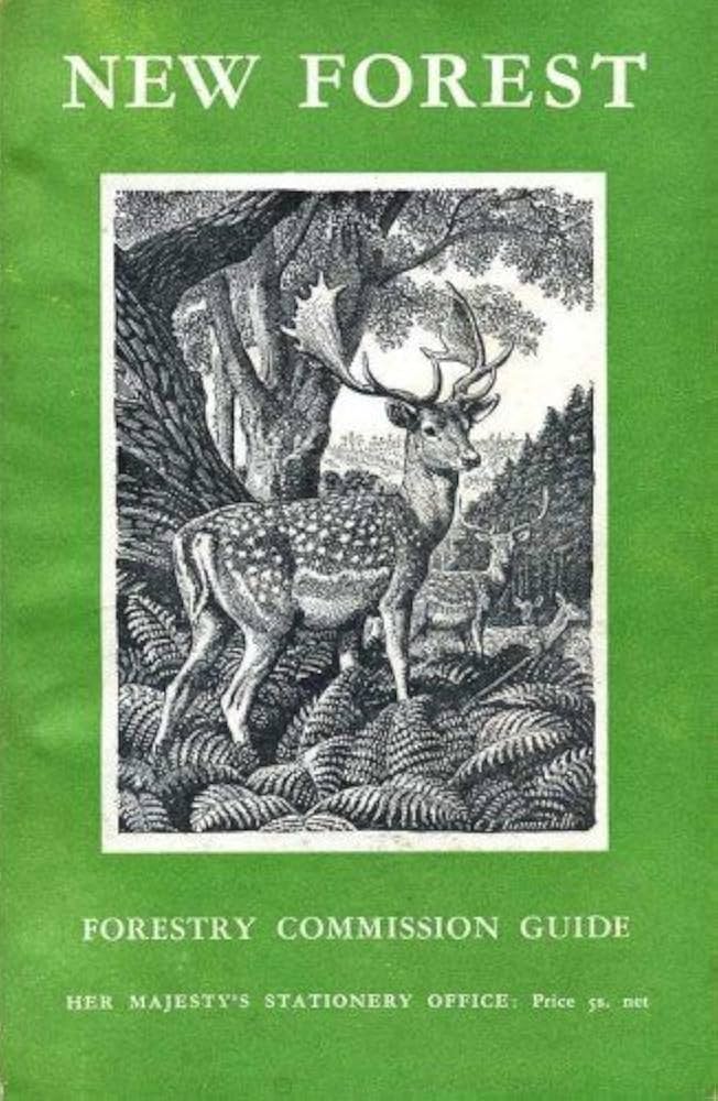 New Forest (Paperback)