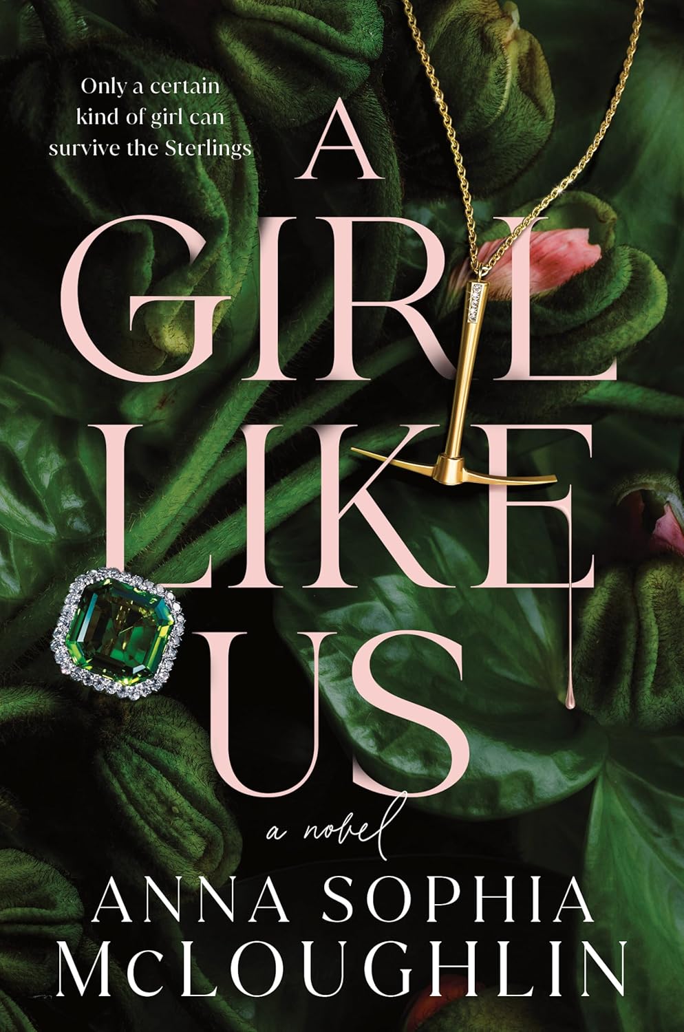 A Girl Like Us (Hardcover)