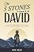 The 5 Stones of David by Kris Heap
