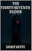 The Thirty-Seventh Floor by Spirit Kitty