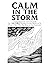 Calm in the Storm: A Compassionate Survival Guide for PANS/PANDAS Parents in the Worst of It (from a Mom Who Has Been in the Trenches)