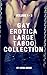 Gay Erotica Large Taboo Collection - Volume 1 - 3 by Lionel Brome
