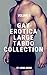 Gay Erotica Large Taboo Col...