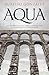 Aqua: Una apasionante novela sobre la construcción de un monumento extraordinario (Spanish Edition)