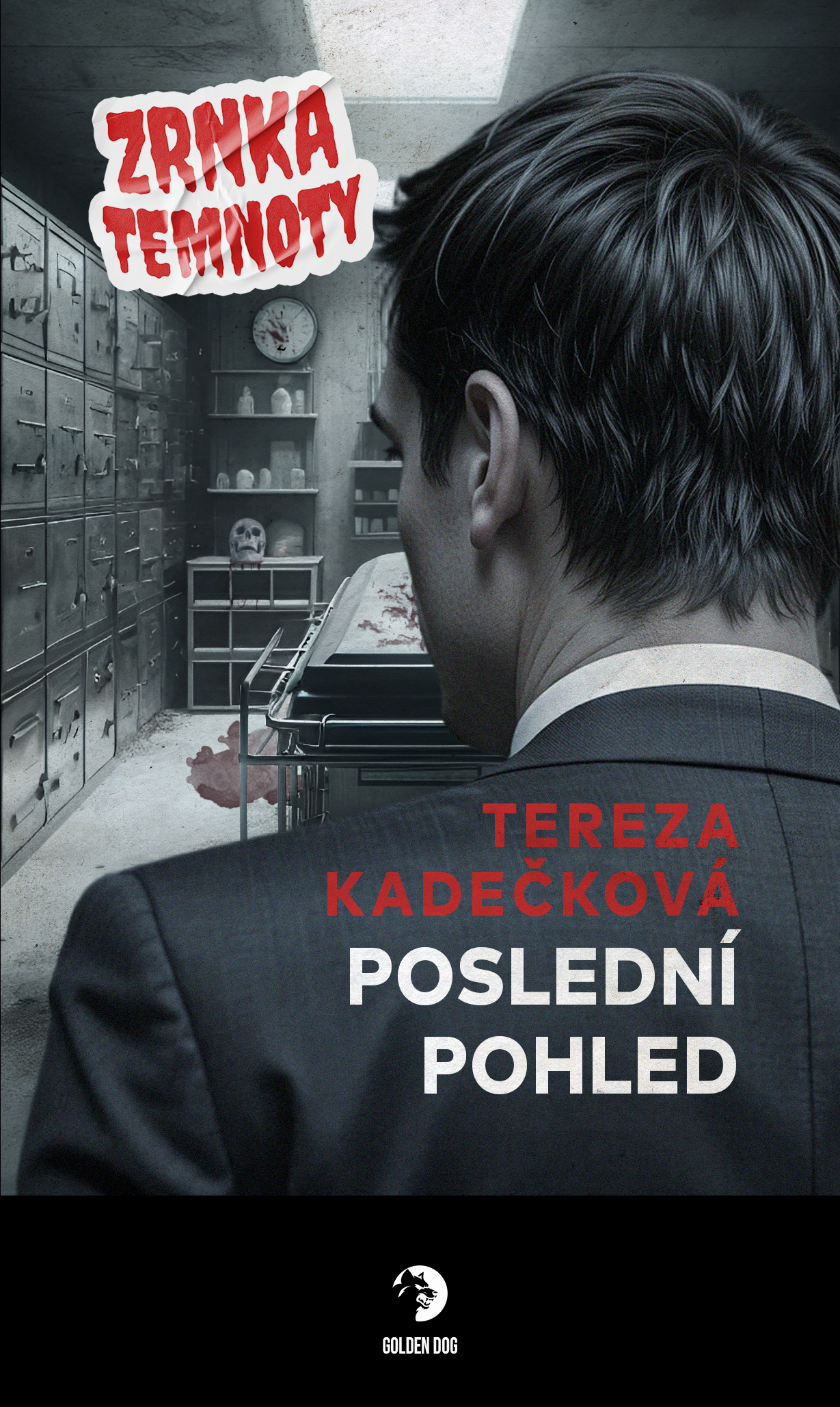 Poslední pohled (Paperback)